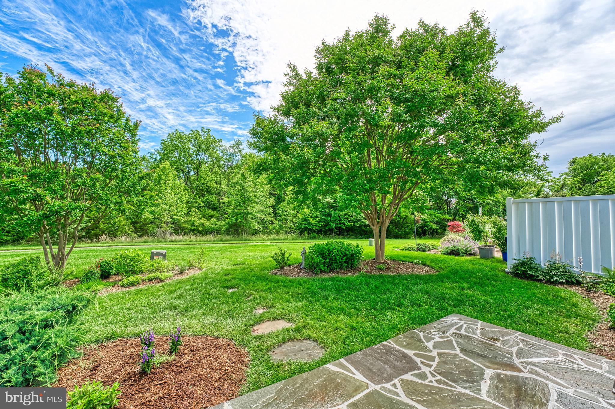 44458 Maltese Falcon Sq