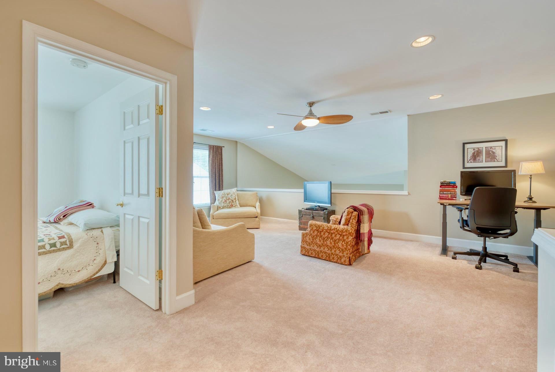 44458 Maltese Falcon Sq