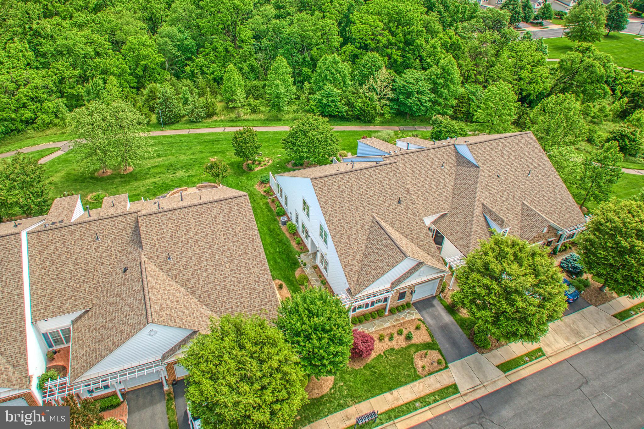 44458 Maltese Falcon Sq