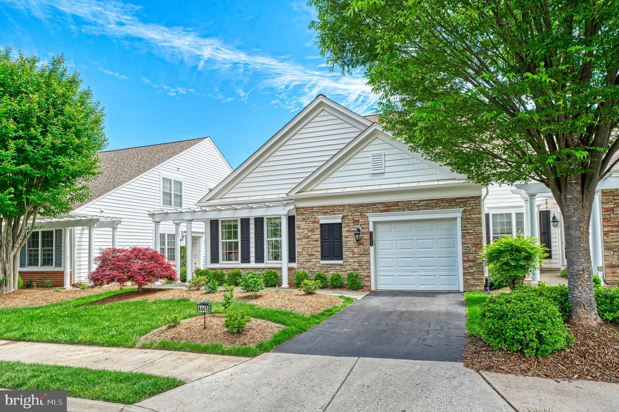 44458 Maltese Falcon Sq