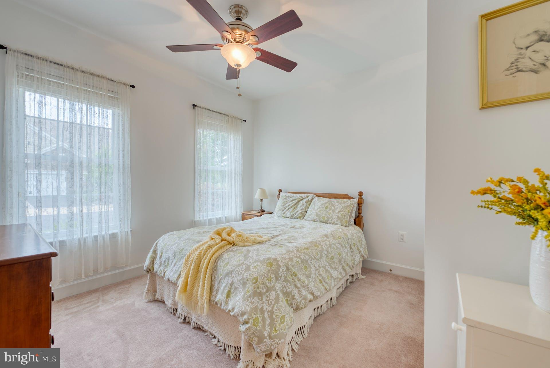 44458 Maltese Falcon Sq