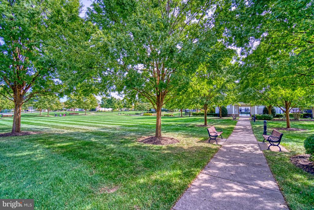 44458 Maltese Falcon Sq