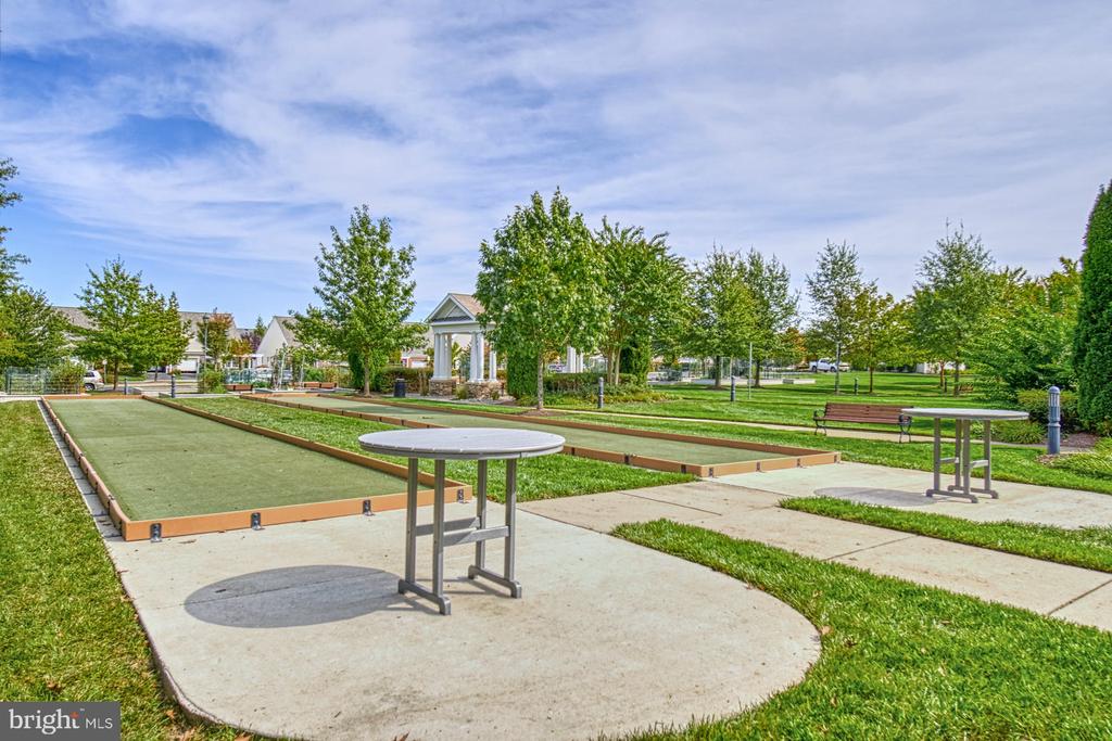 44458 Maltese Falcon Sq