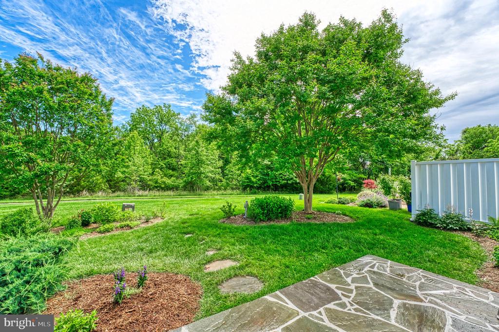 44458 Maltese Falcon Sq