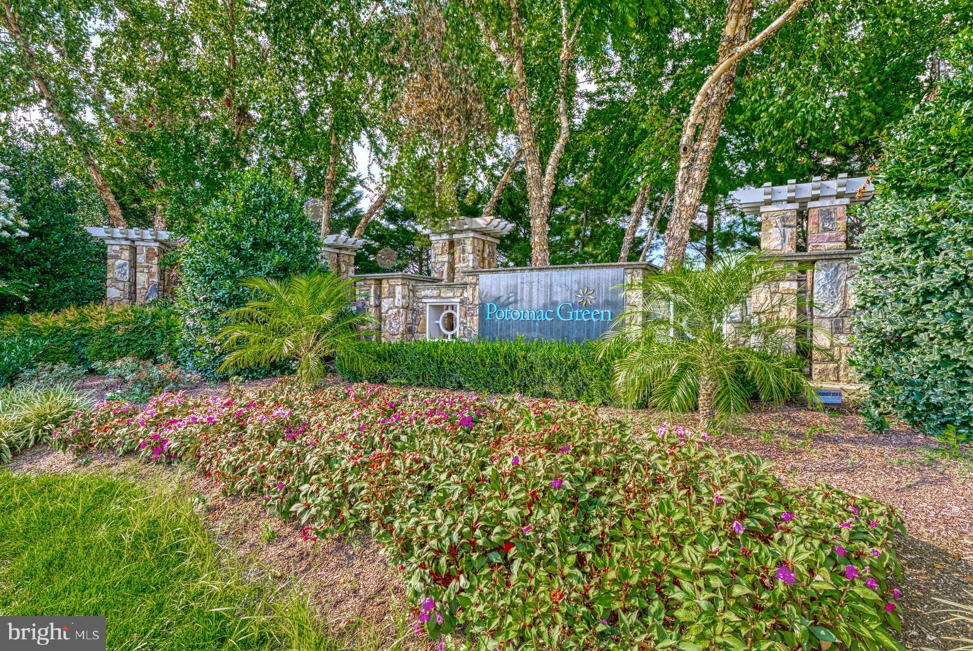 44458 Maltese Falcon Sq