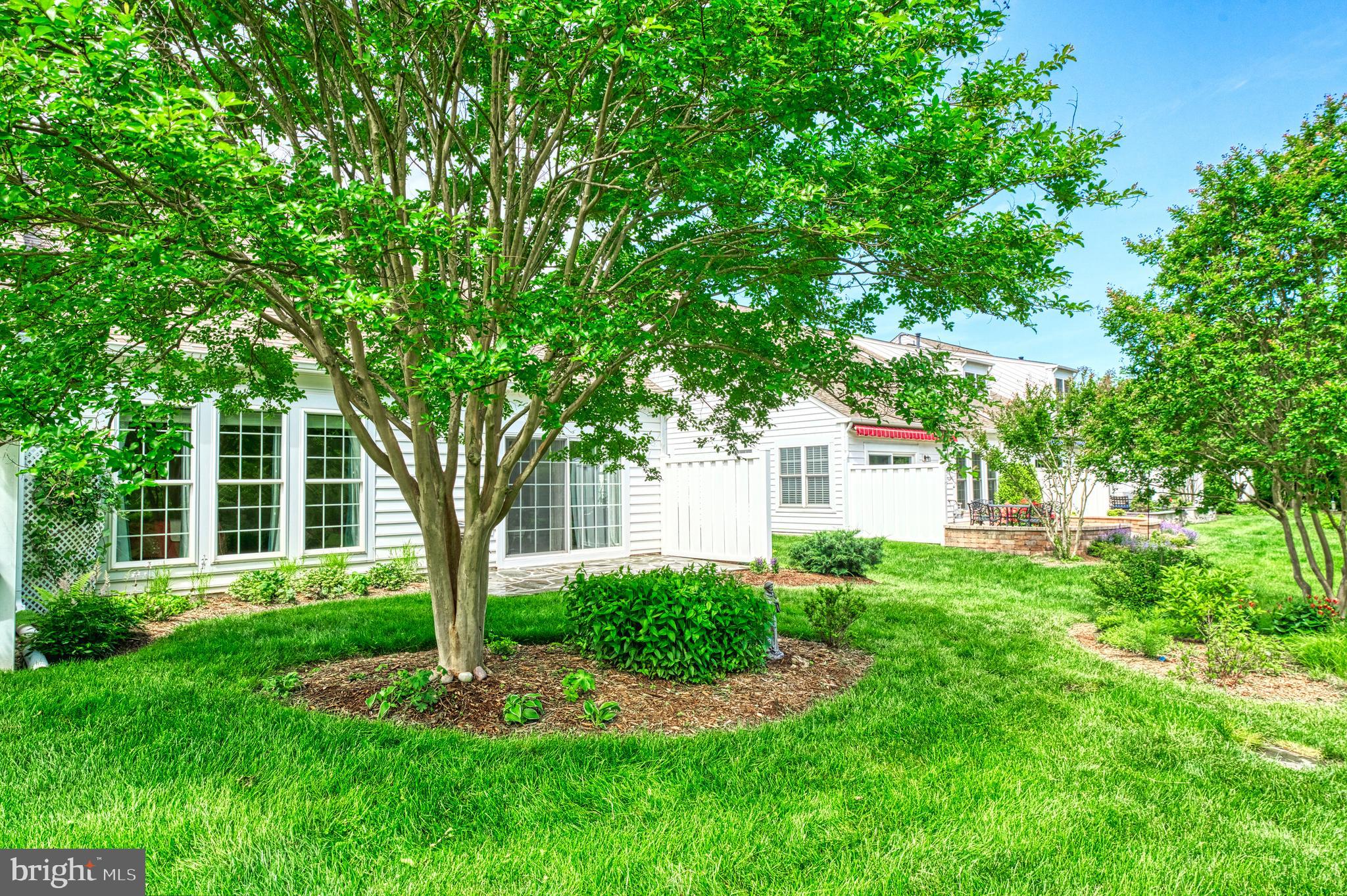 44458 Maltese Falcon Sq
