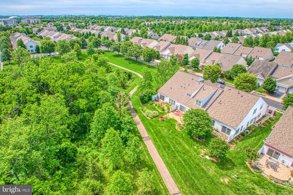 44458 Maltese Falcon Sq