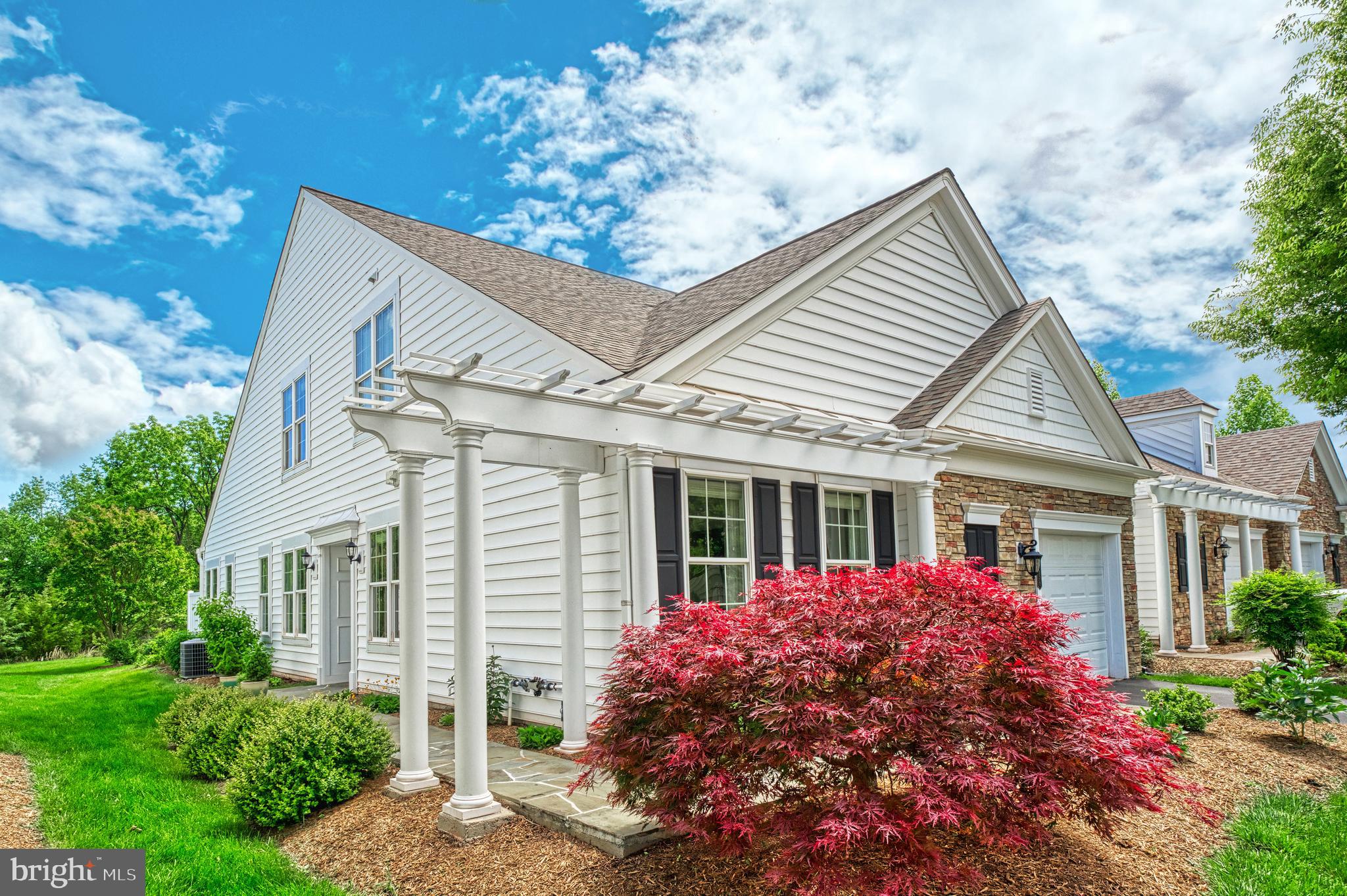 44458 Maltese Falcon Sq