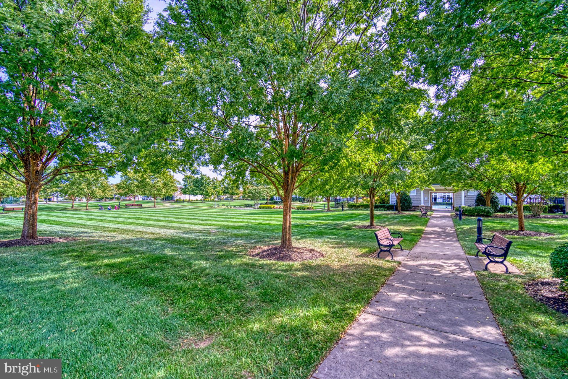 44458 Maltese Falcon Sq