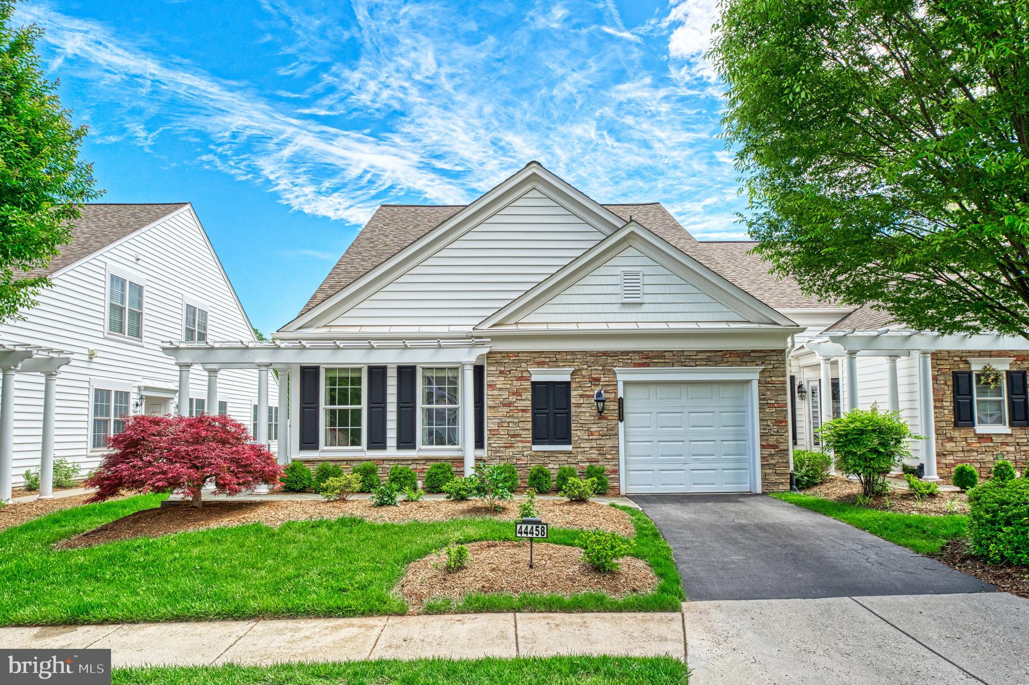 44458 Maltese Falcon Sq