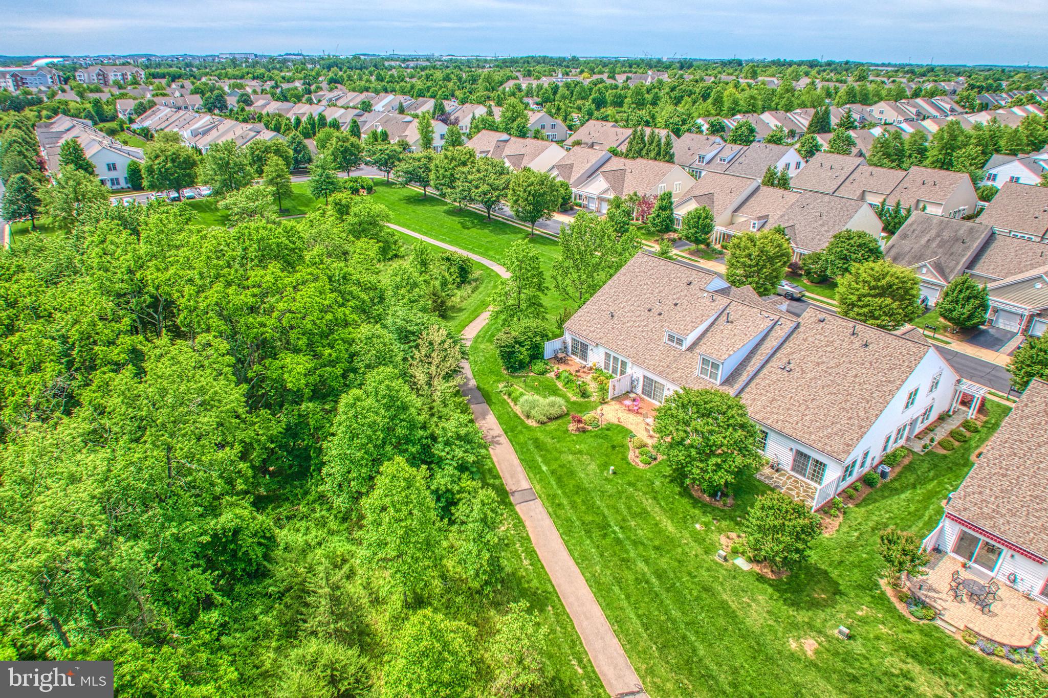 44458 Maltese Falcon Sq