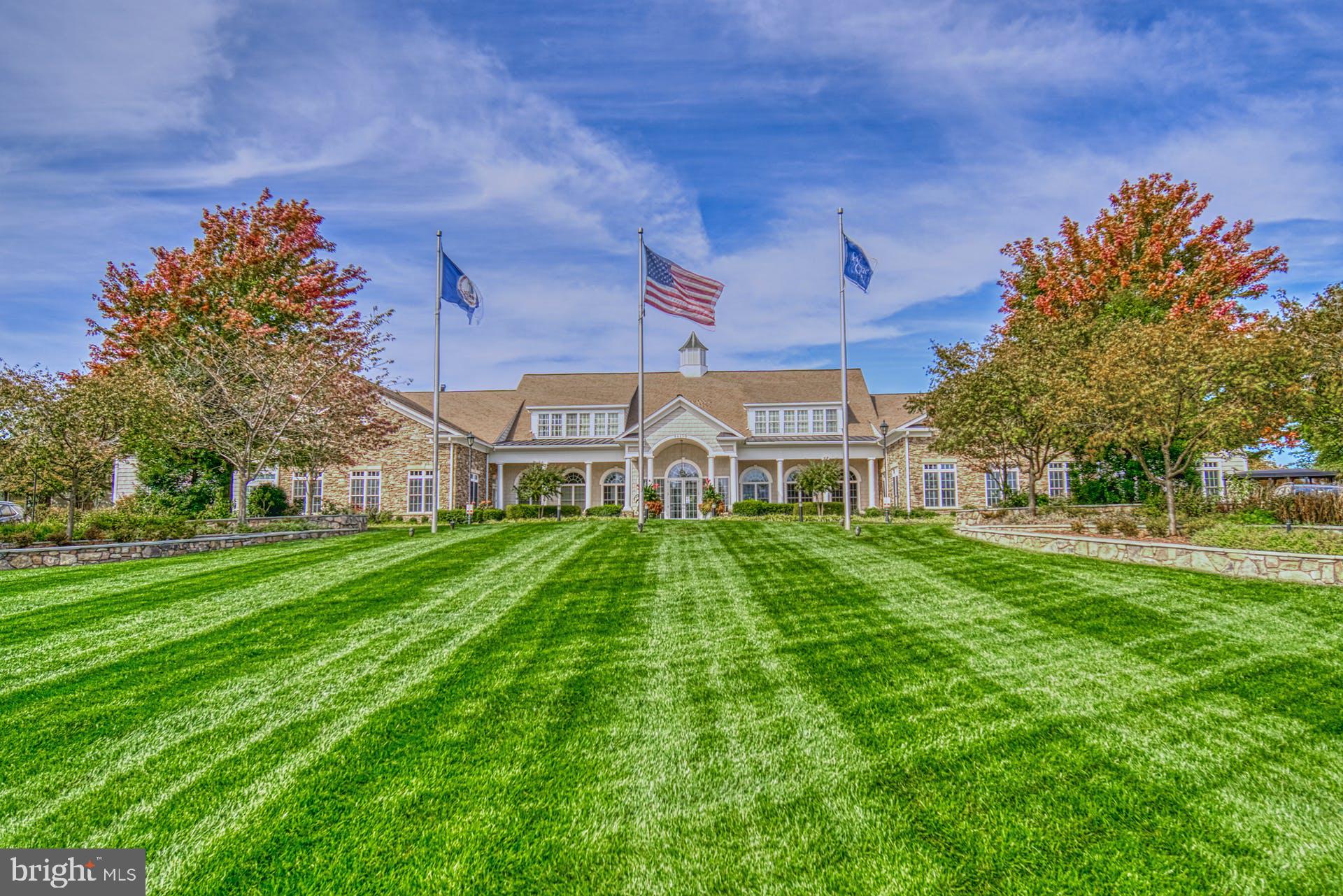 44458 Maltese Falcon Sq
