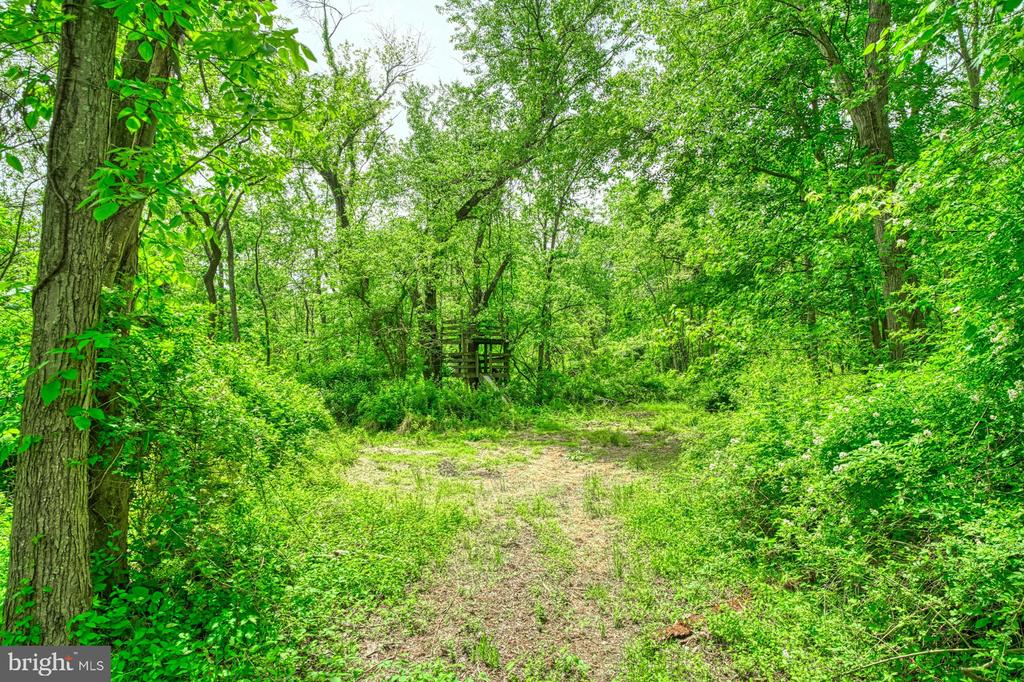 17045 Hamilton Station Rd