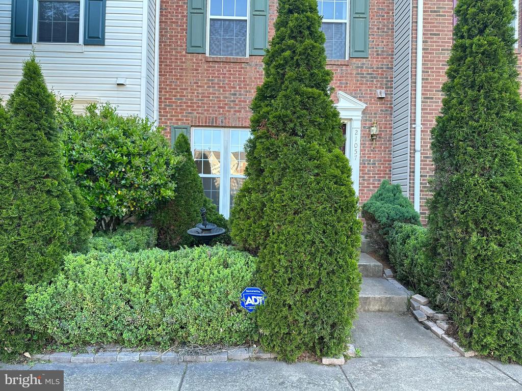 21057 PICKERELWEED TER