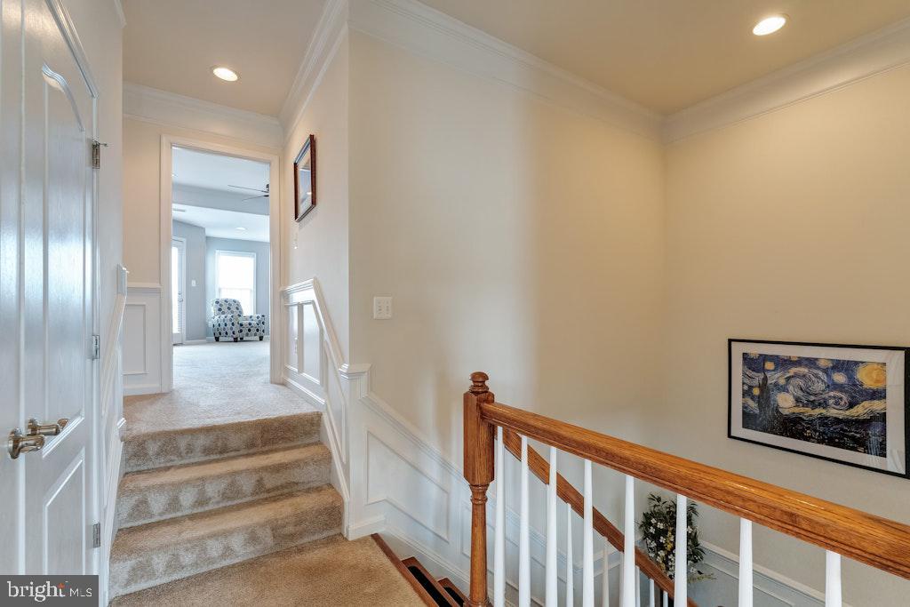 25119 Sweetspire Sq