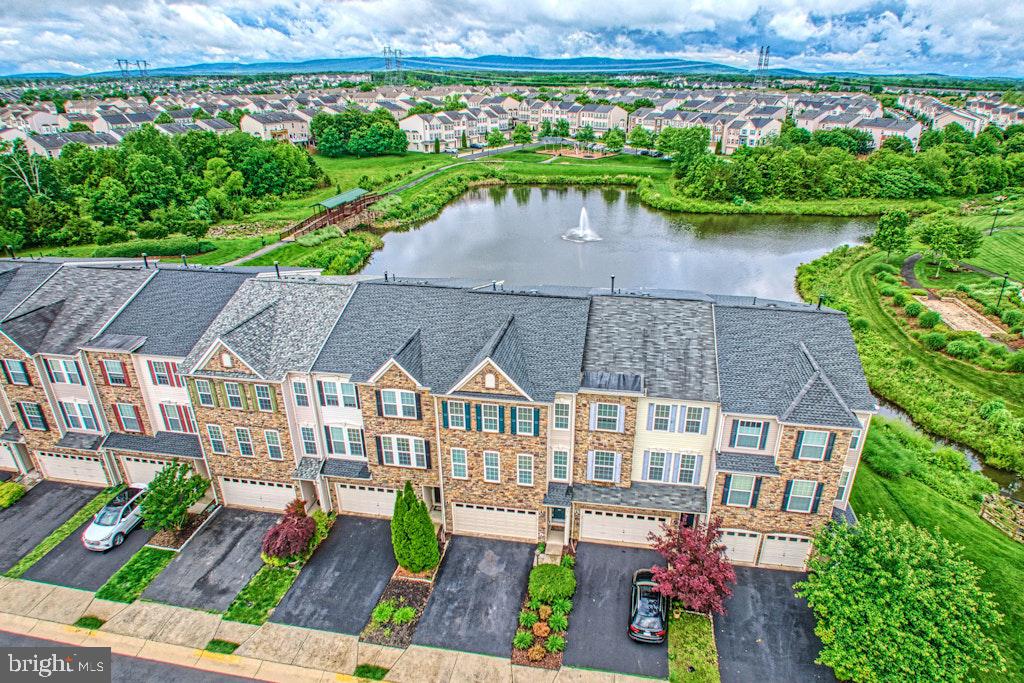 25119 Sweetspire Sq