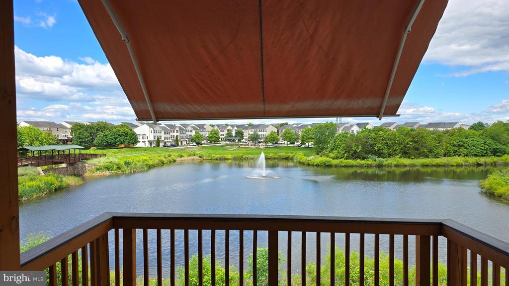 25119 Sweetspire Sq