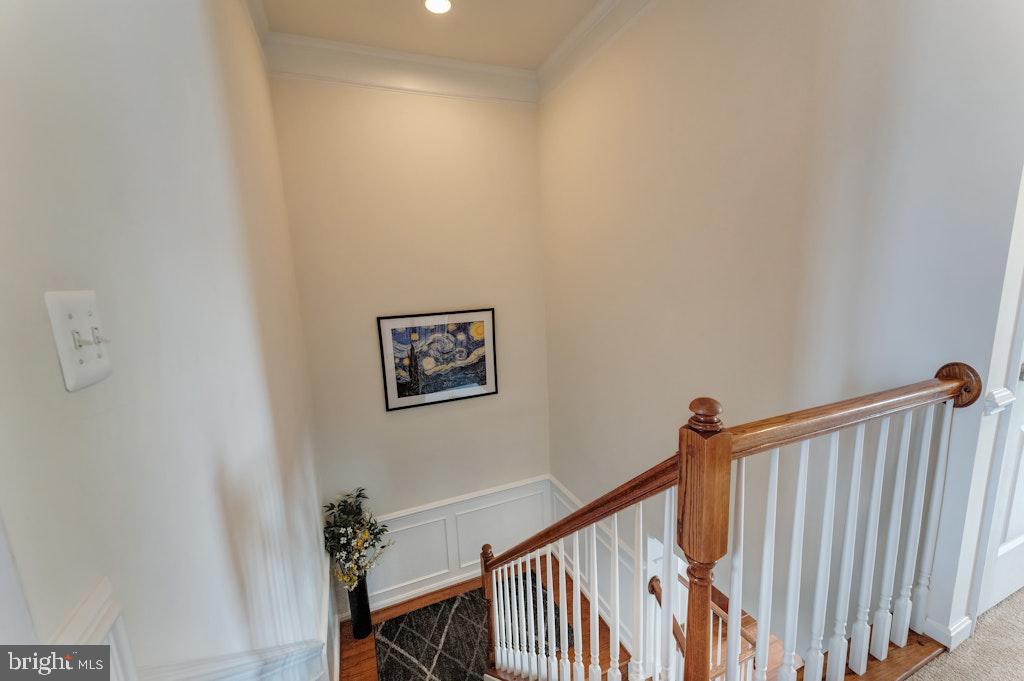 25119 Sweetspire Sq