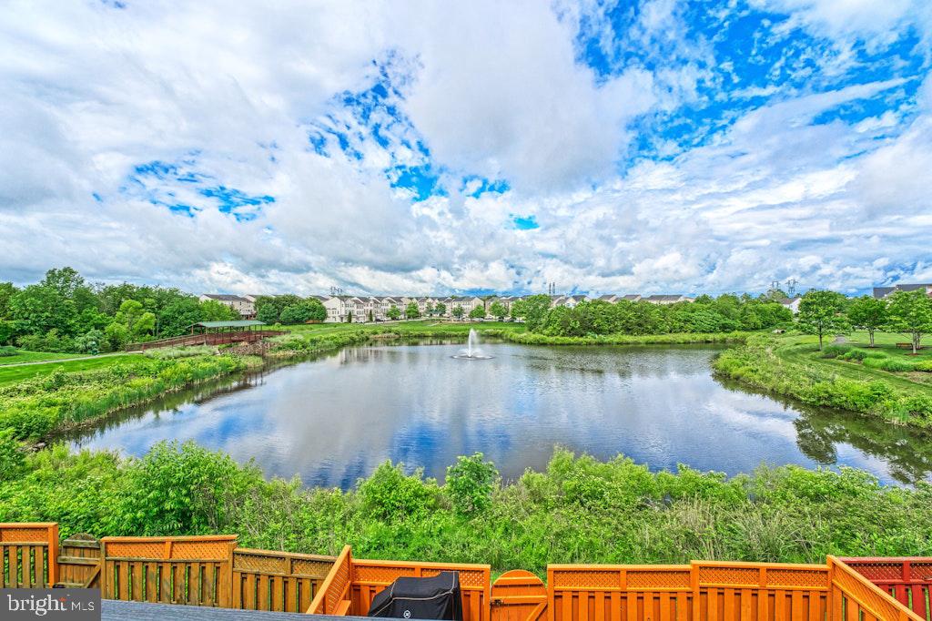 25119 Sweetspire Sq