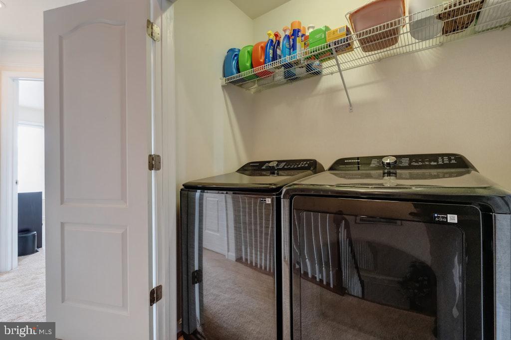 25119 Sweetspire Sq