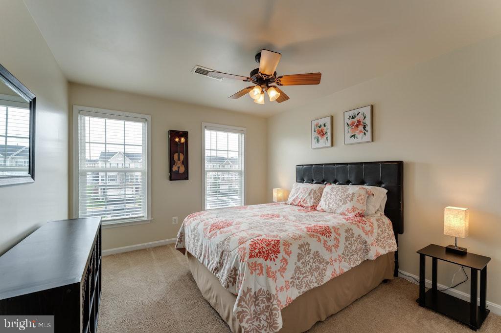 25119 Sweetspire Sq
