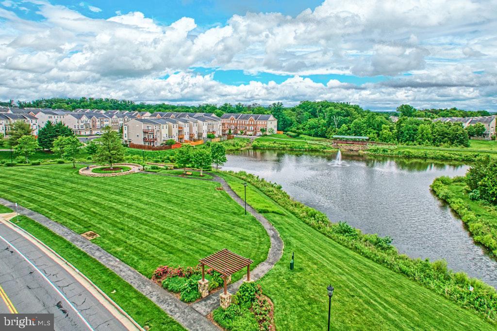 25119 Sweetspire Sq