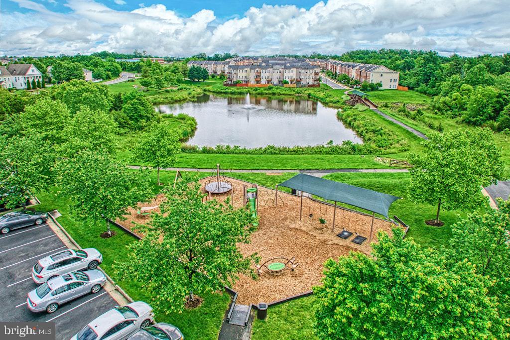25119 Sweetspire Sq