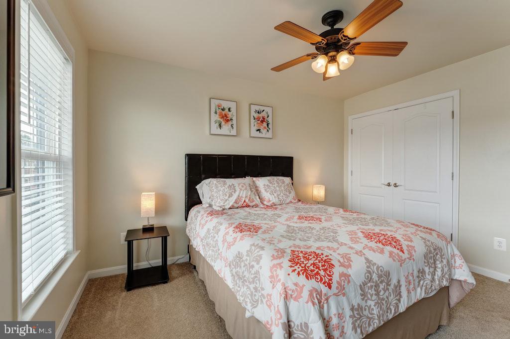 25119 Sweetspire Sq