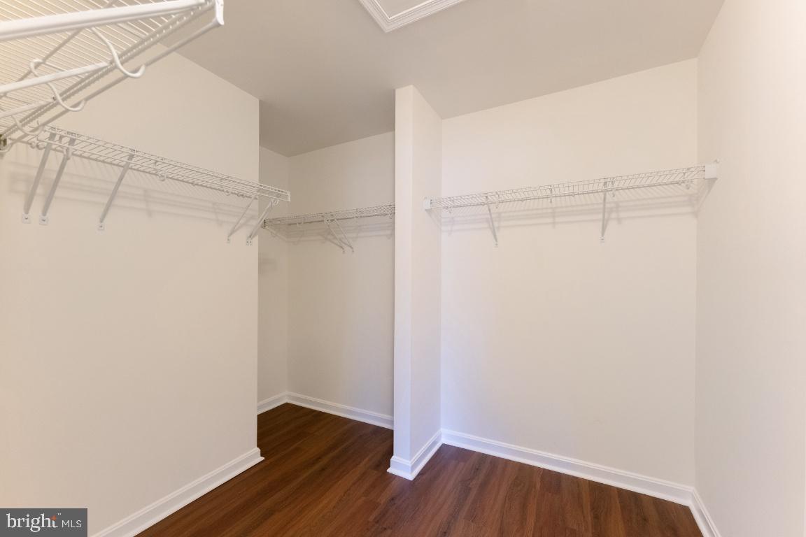 25120 SWEET MYRTLE SQUARE