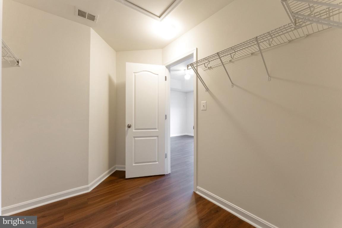 25120 SWEET MYRTLE SQUARE