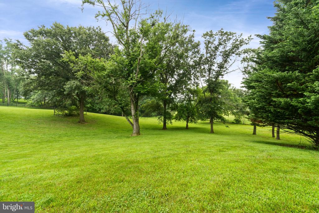 36983 Philomont Rd