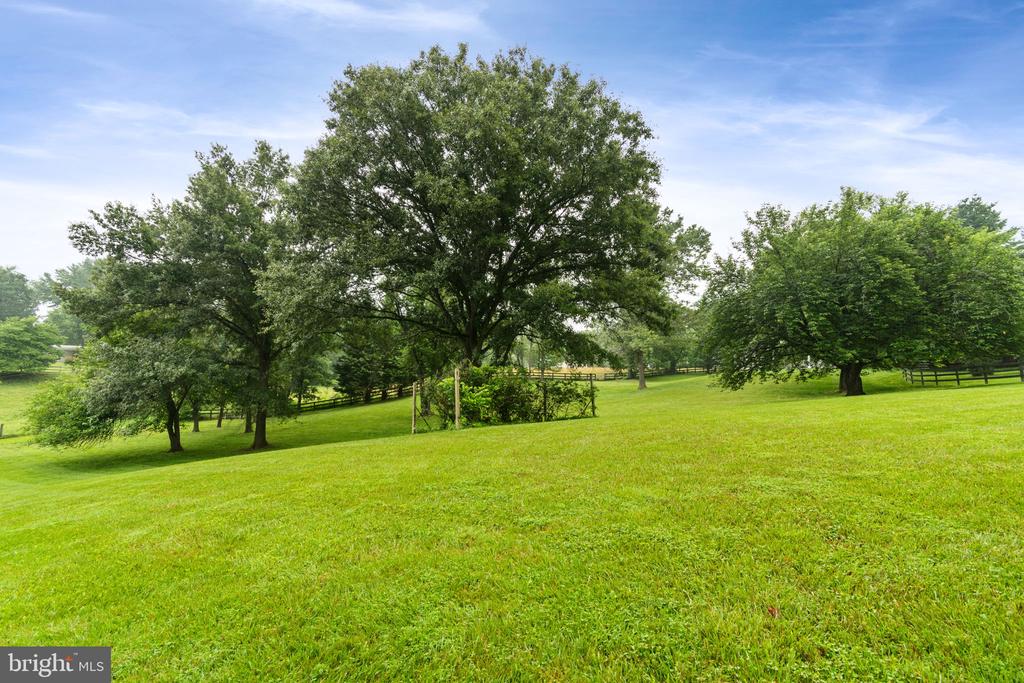 36983 Philomont Rd
