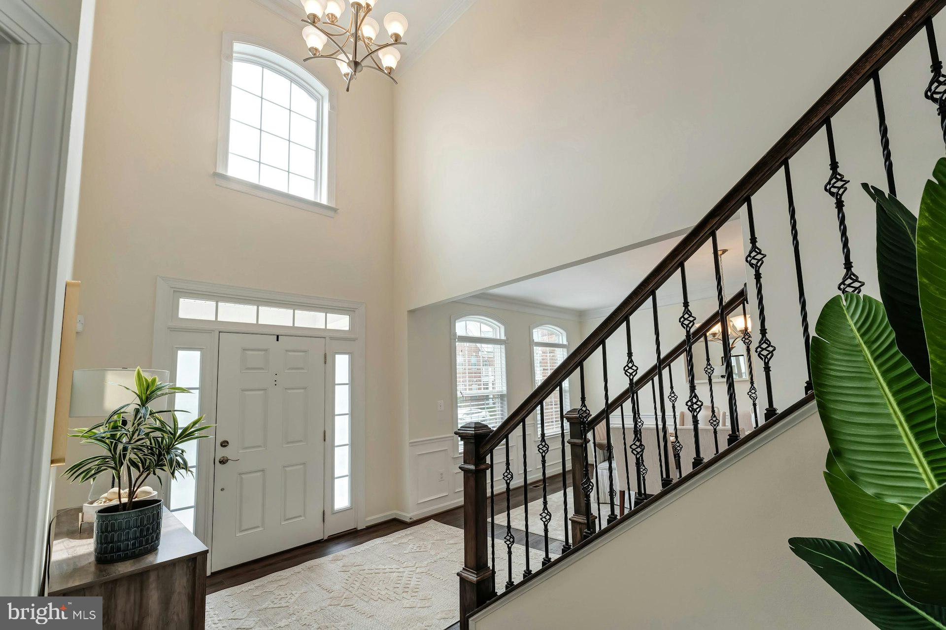 41706 Deer Grass Ter