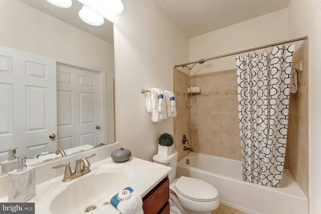 41706 Deer Grass Ter