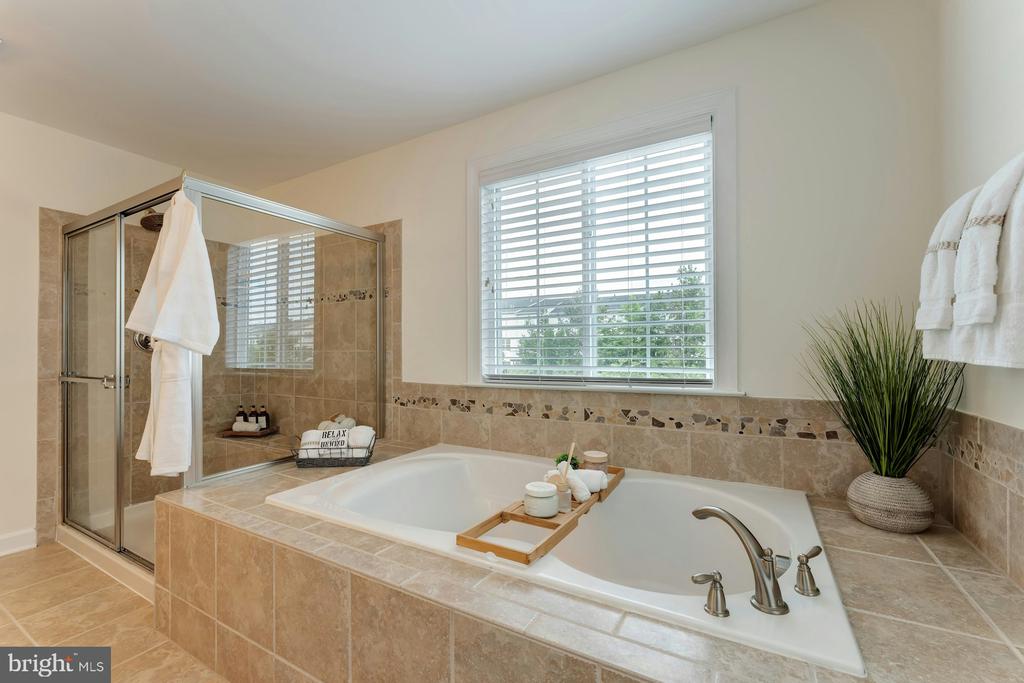 41706 Deer Grass Ter