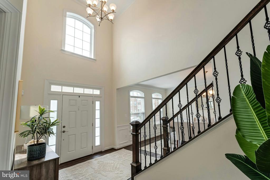 41706 Deer Grass Ter