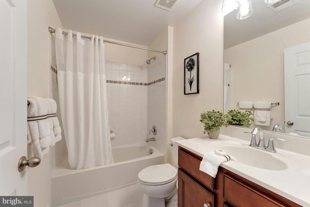 41706 Deer Grass Ter