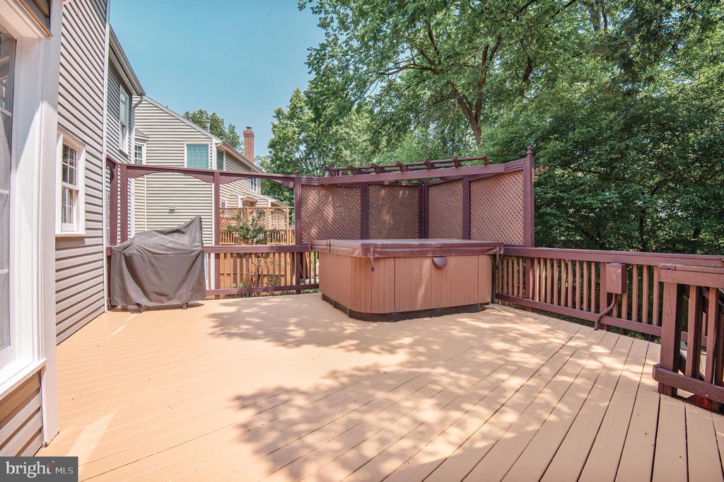 20874 Yellowbloom Ct
