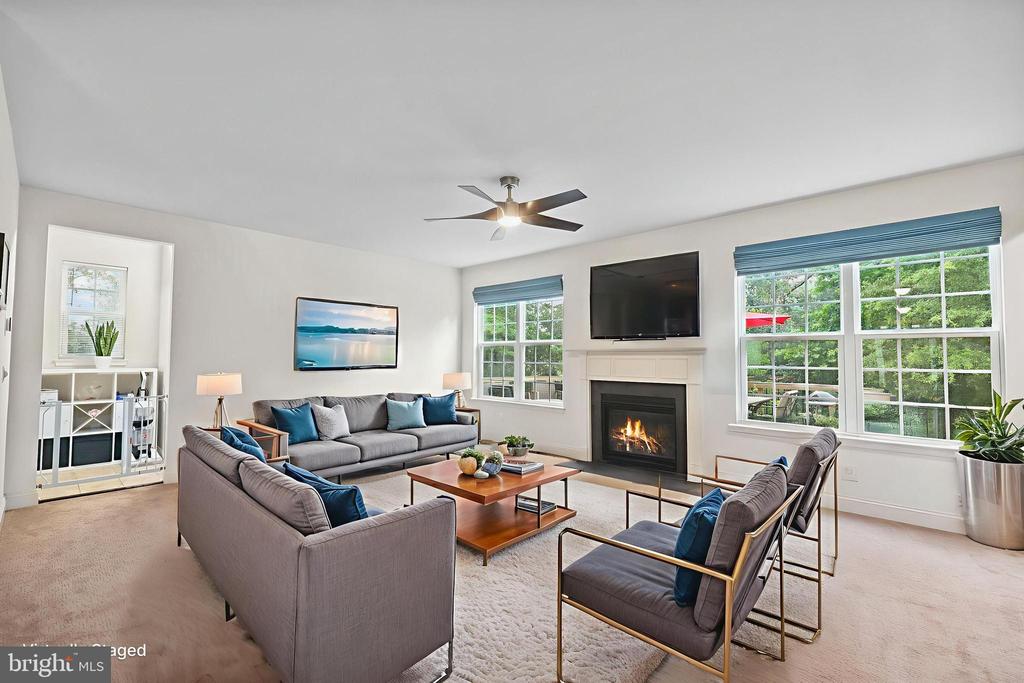 23420 SOMERSET CROSSING PLACE