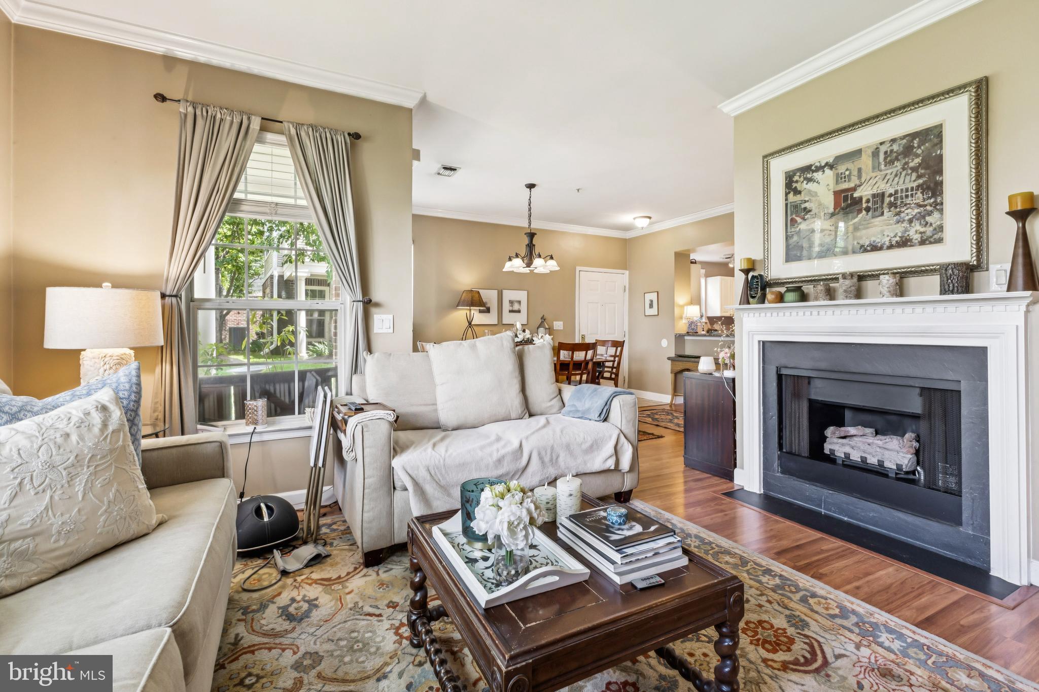 45050 Brae Ter #101