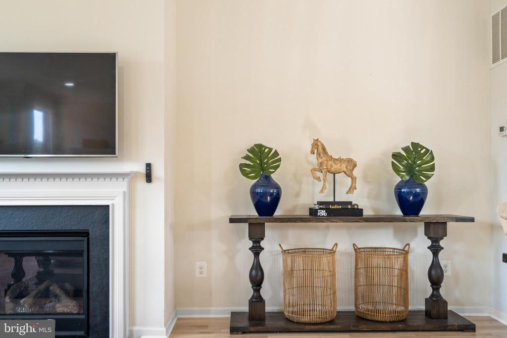 42265 Hampton Woods Ter