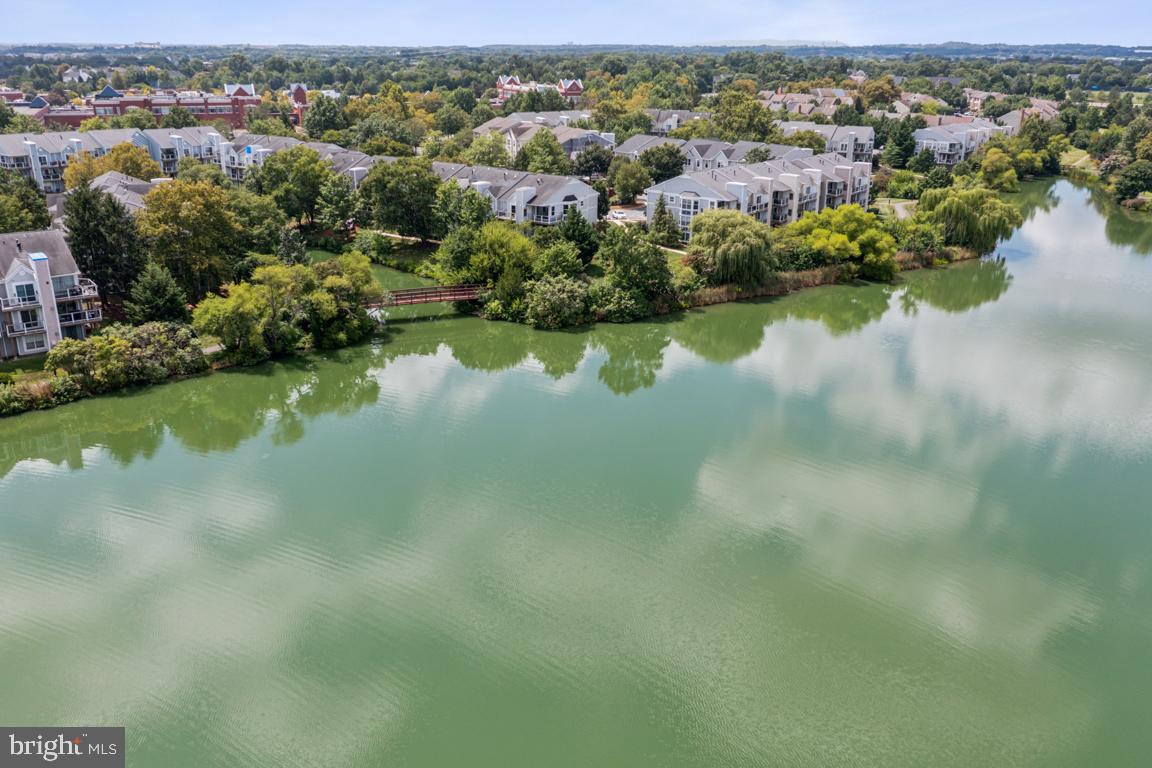 20594 CORNSTALK TERRACE 201