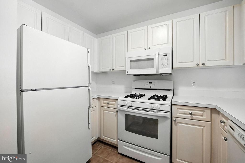 45061 Brae Ter #202