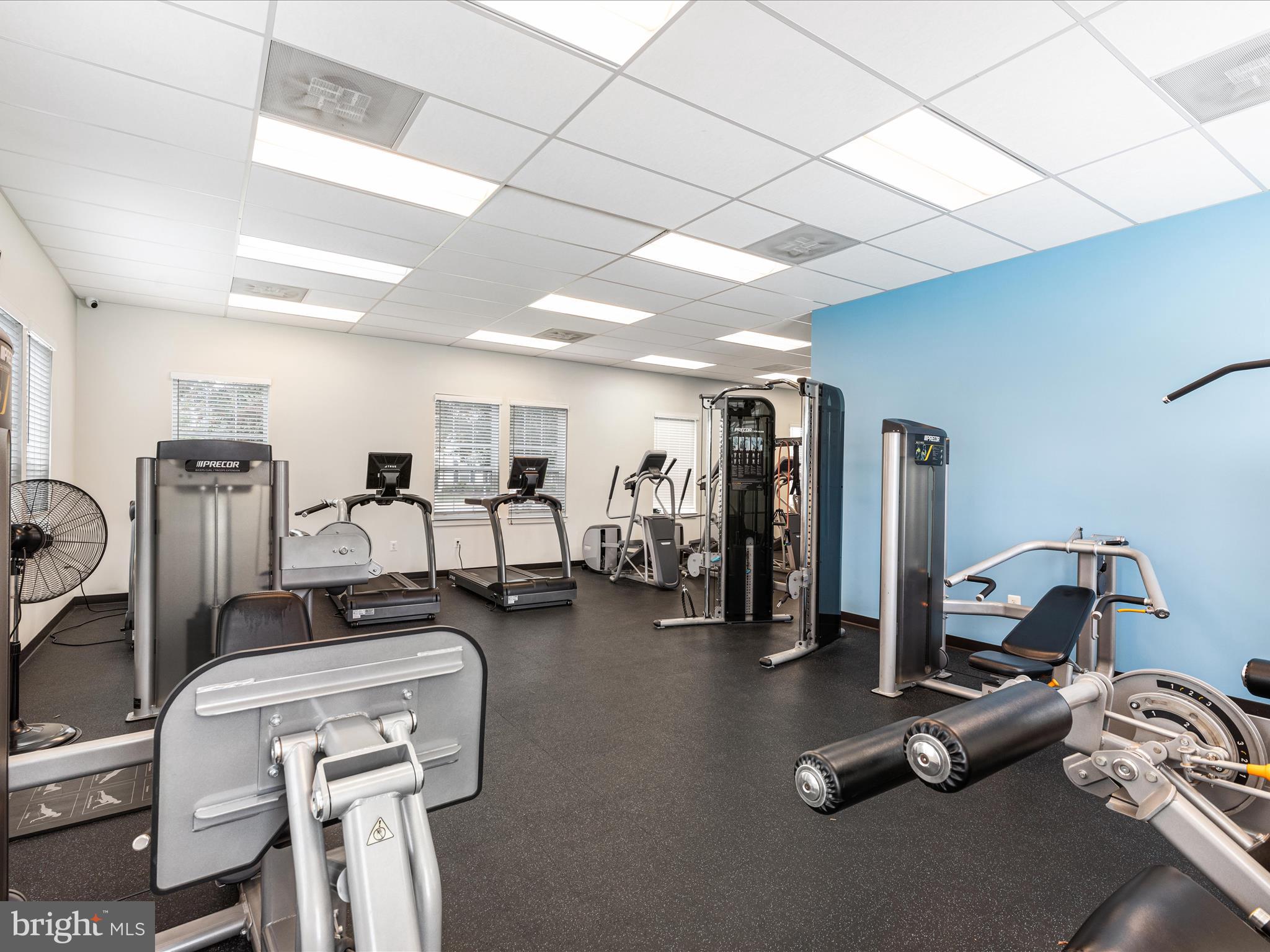 42590 ANTONIA TERRACE