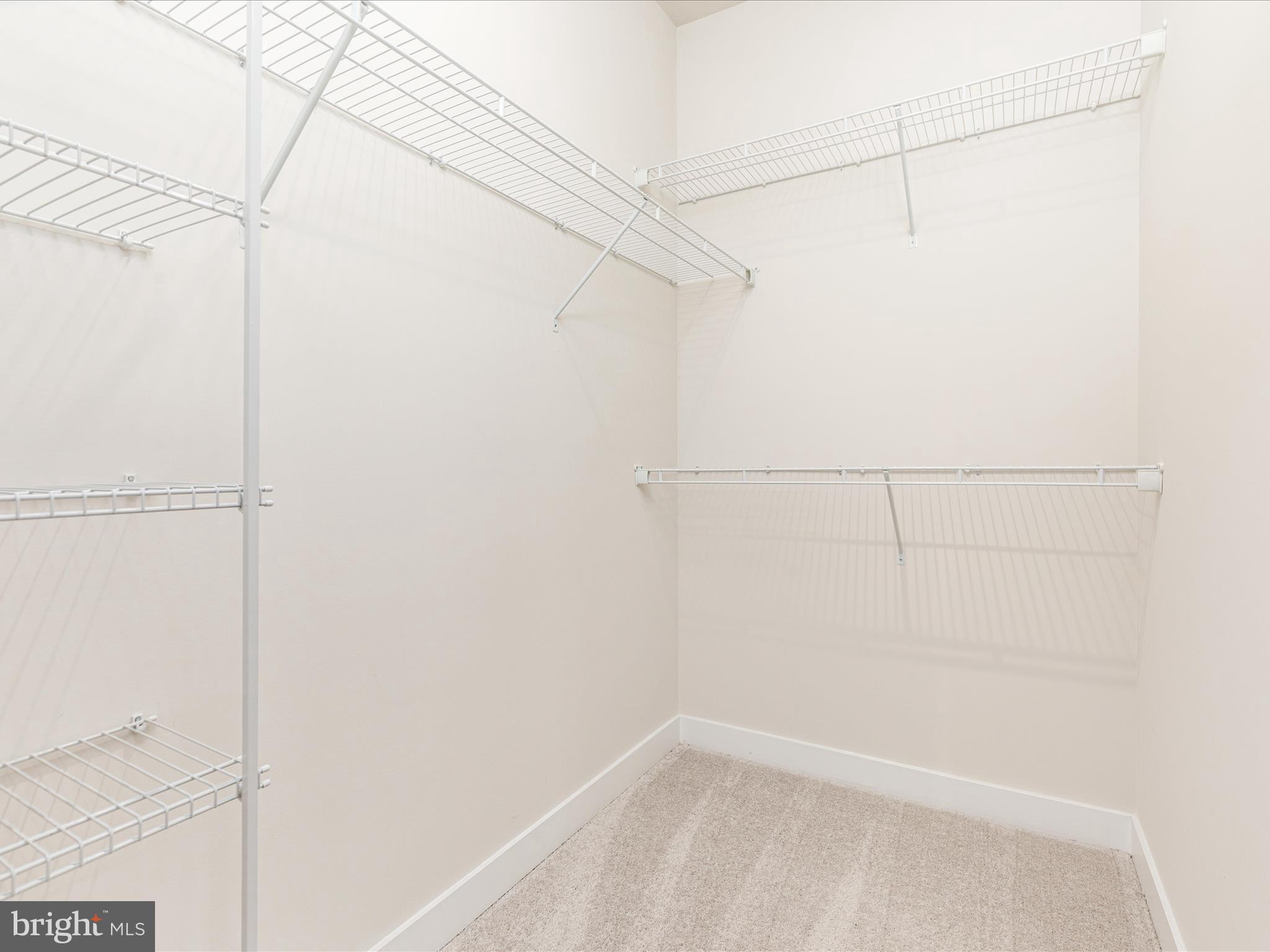 42590 ANTONIA TERRACE