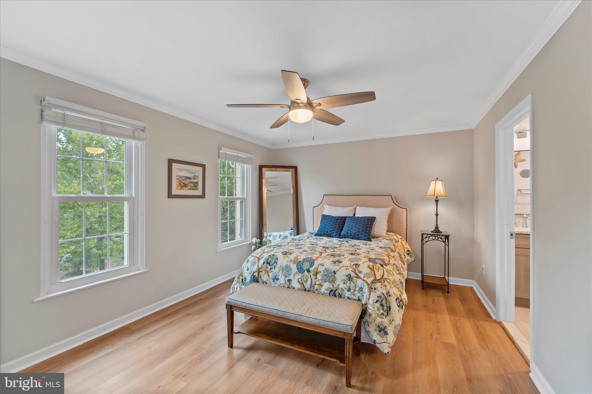 46574 BROADSPEAR