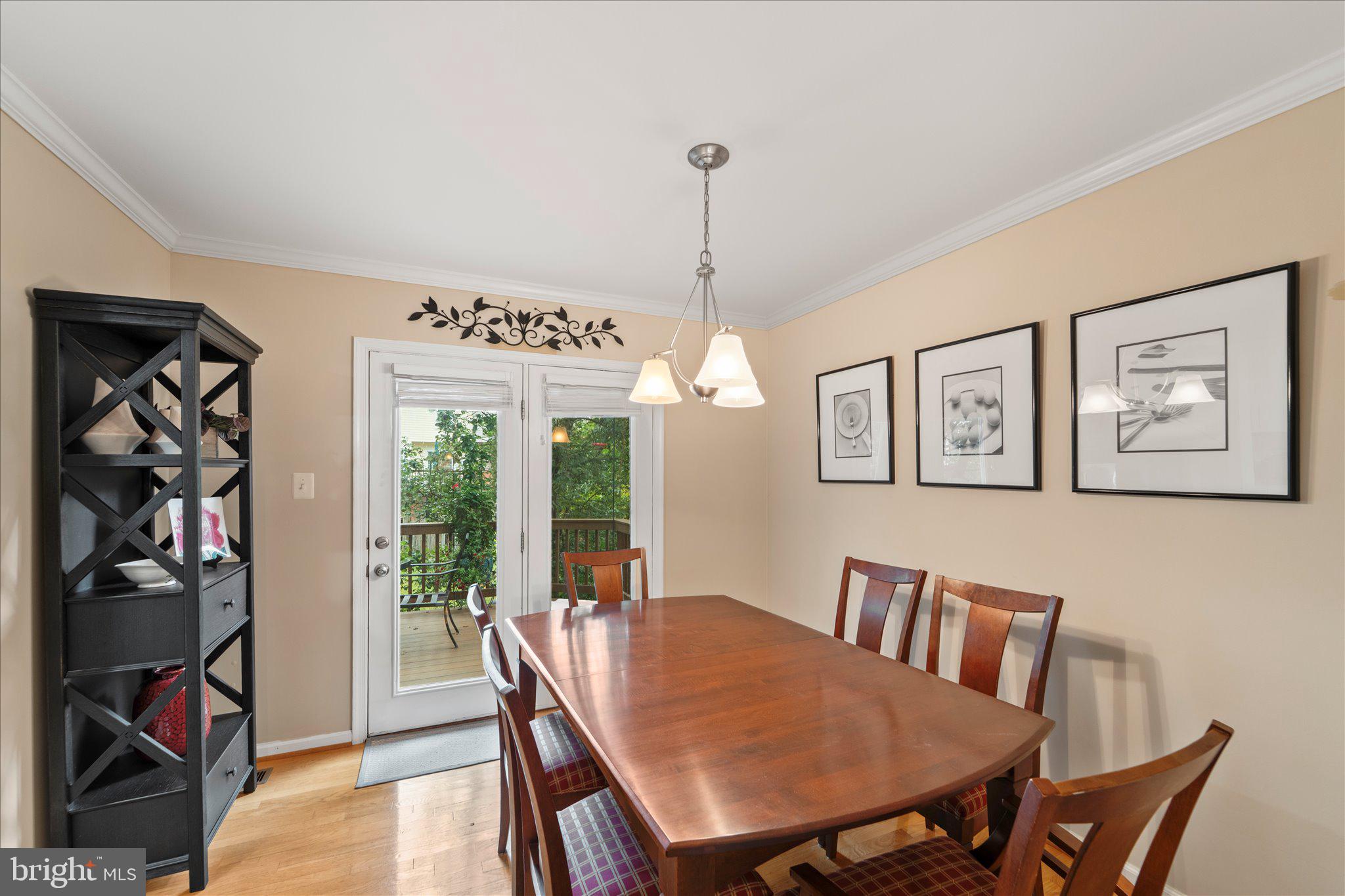 46574 BROADSPEAR