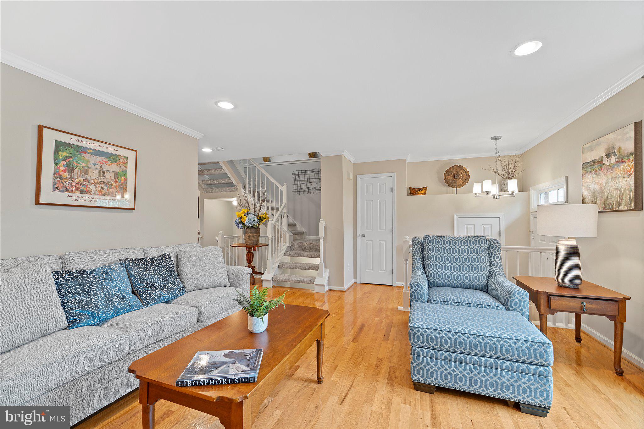 46574 BROADSPEAR
