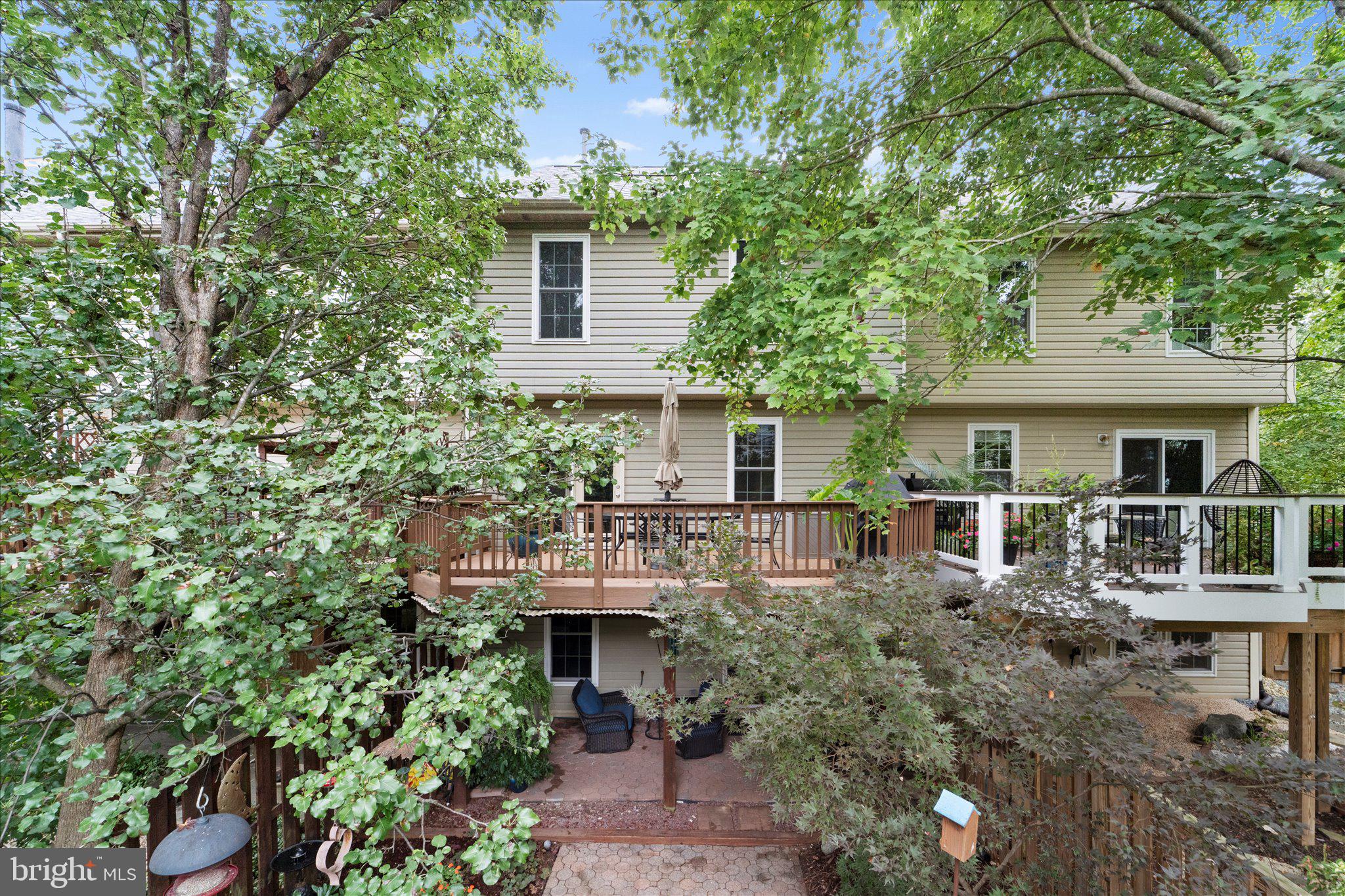 46574 BROADSPEAR
