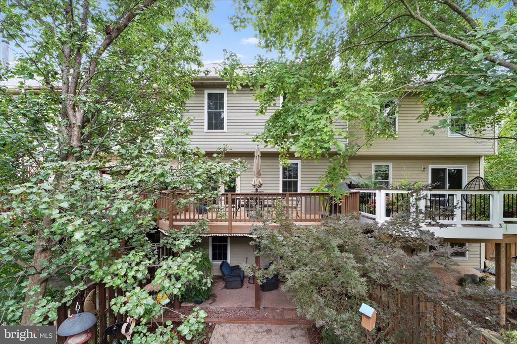 46574 BROADSPEAR